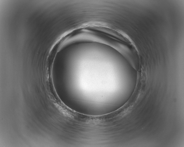 X0000081620973200701151427