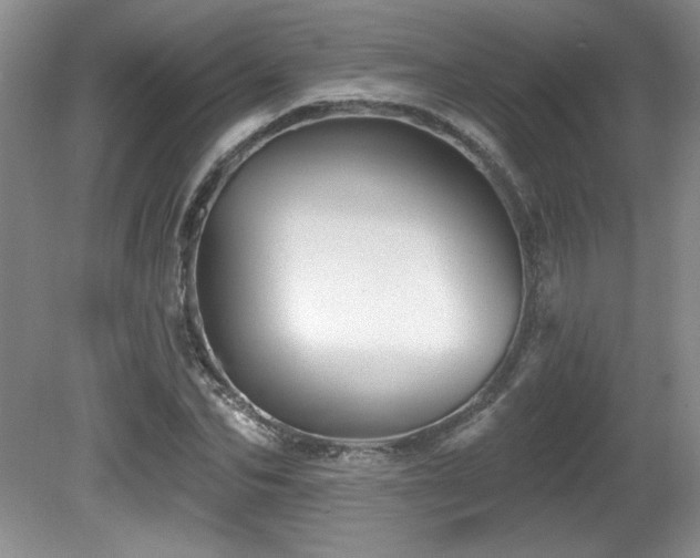 X0000081620974200701151427