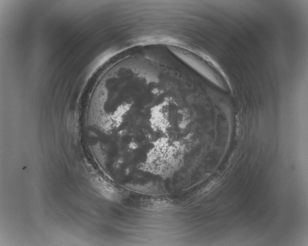 X0000081620975200701151427