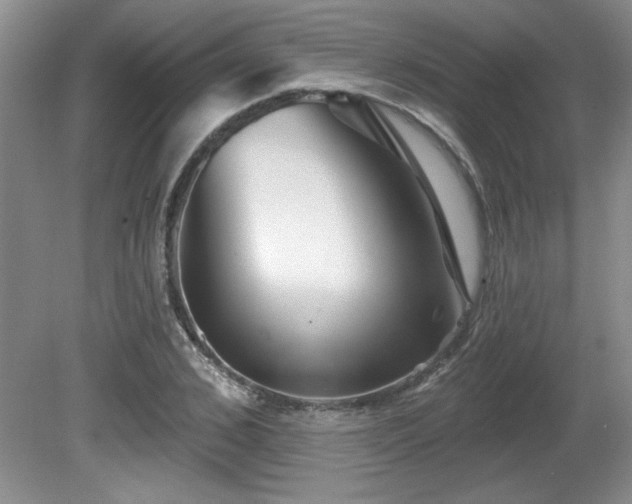 X0000081620976200701151427