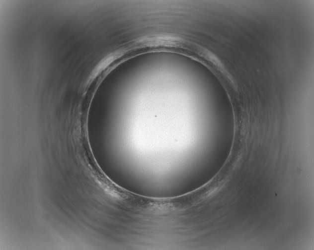 X0000081620978200701151427