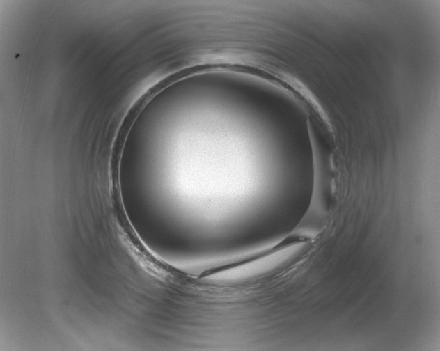 X0000081620980200701151427