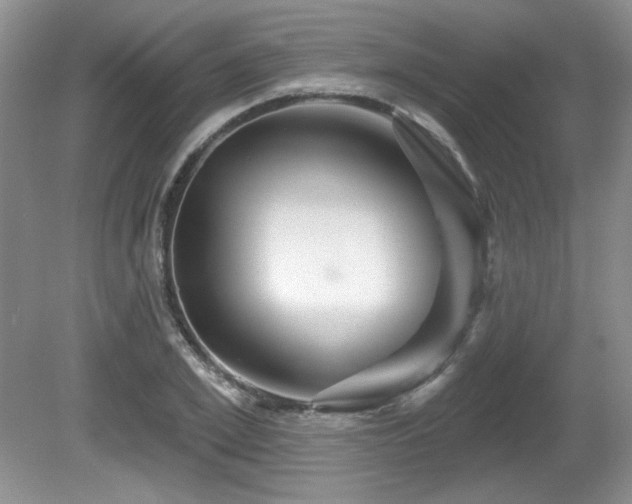 X0000081620981200701151427