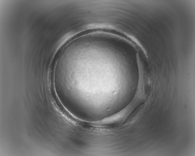 X0000081620983200701151427