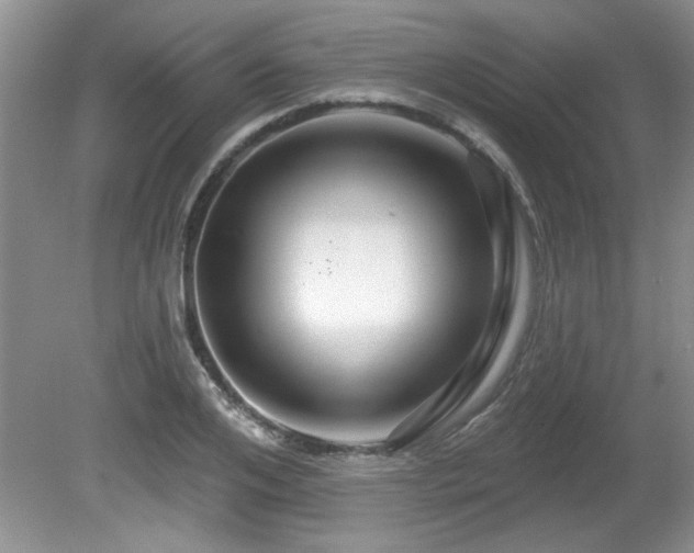 X0000081620984200701151427