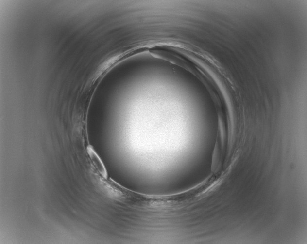 X0000081620985200701151427