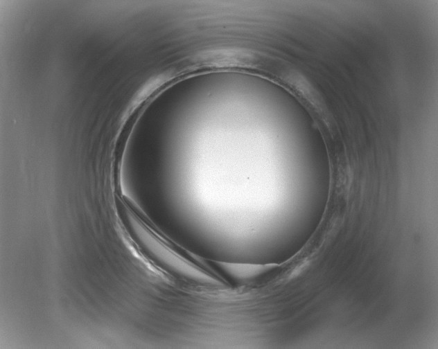 X0000081620986200701151427