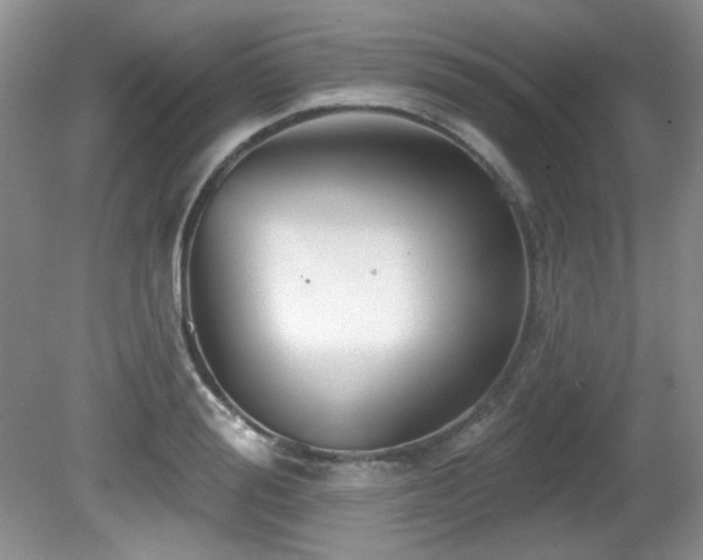 X0000081620988200701151427