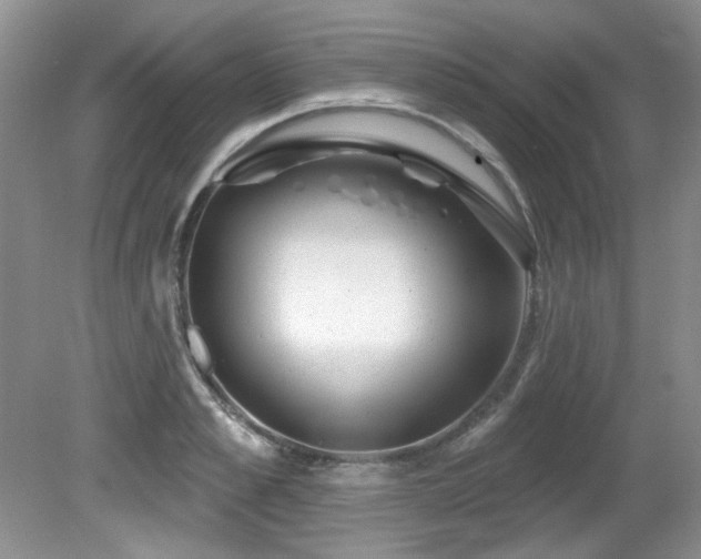 X0000081620989200701151427