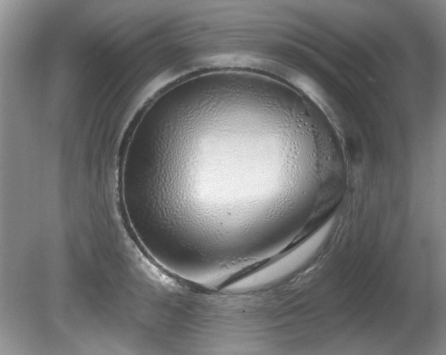 X0000081620992200701151427
