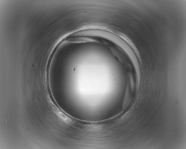 X0000081620996200701151427