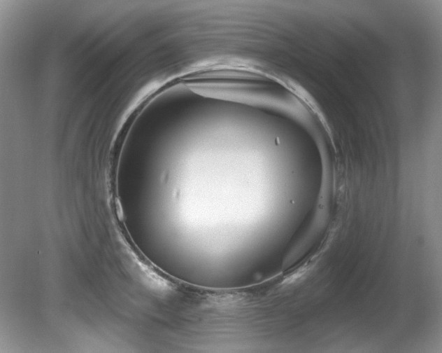 X0000081620997200701151427