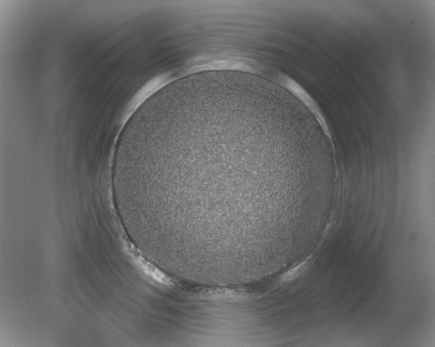 X0000081621002200701151426