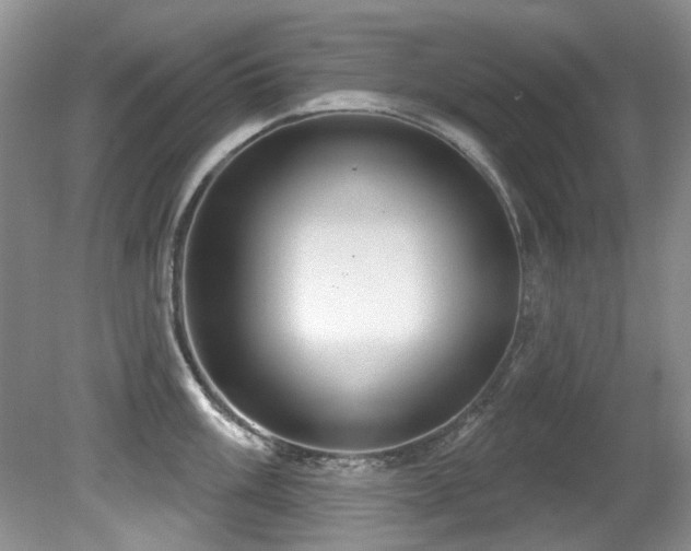 X0000081621003200701151426