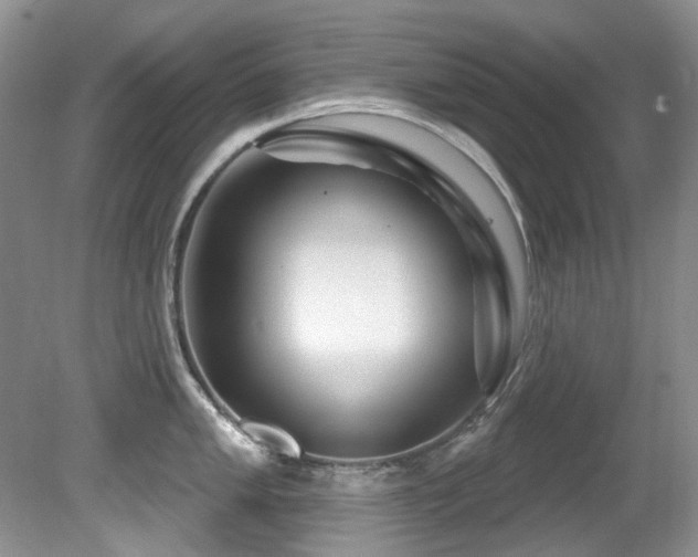 X0000081621005200701151426