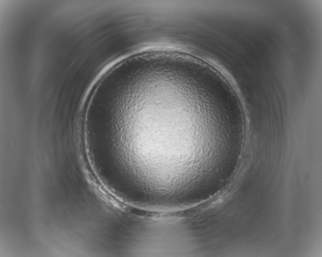 X0000081621008200701151426