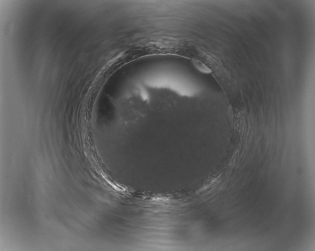 X0000081621009200701151426