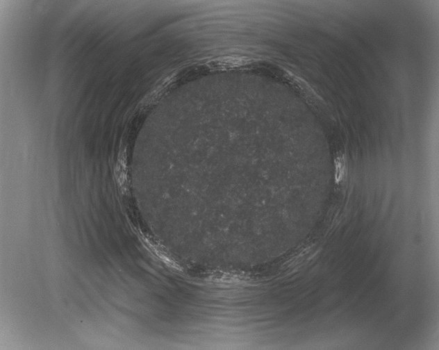 X0000081621011200701151426