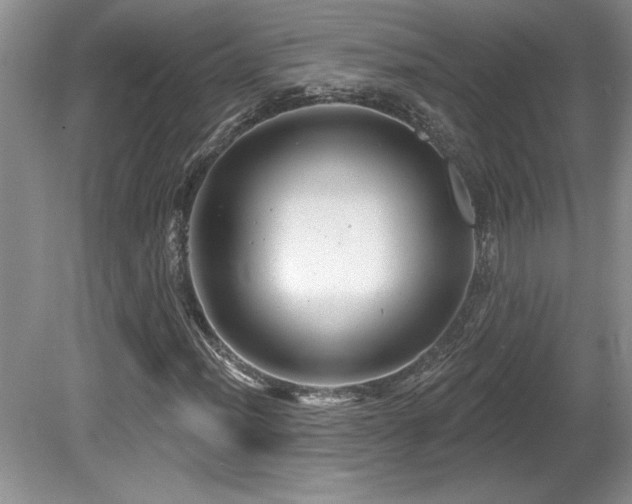 X0000081621012200701151426