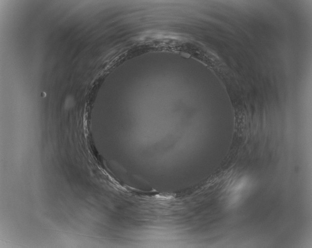 X0000081621013200701151426