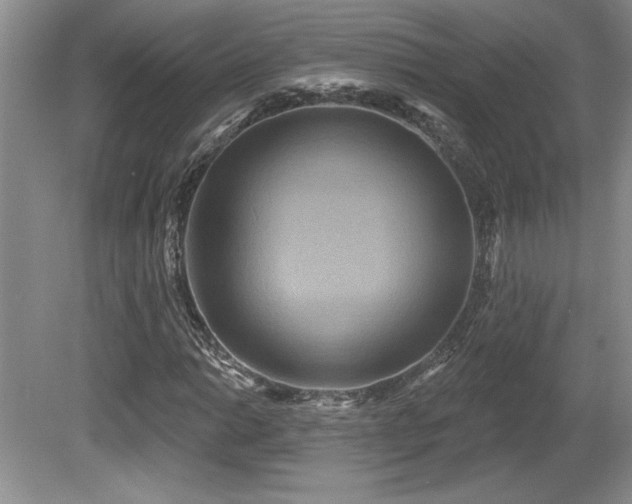 X0000081621014200701151426