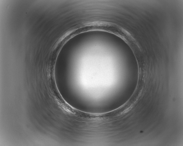 X0000081621017200701151426