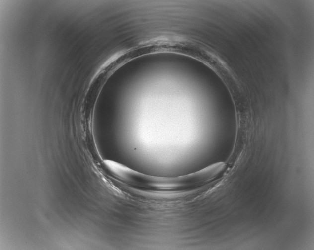 X0000081621018200701151426