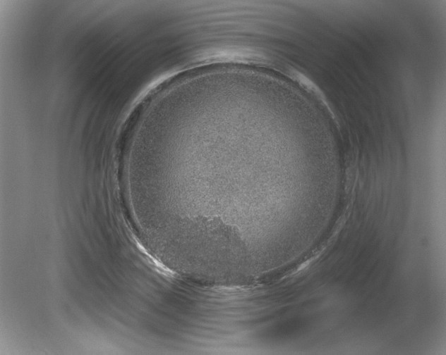 X0000081621019200701151426