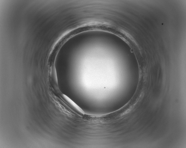 X0000081621021200701151426