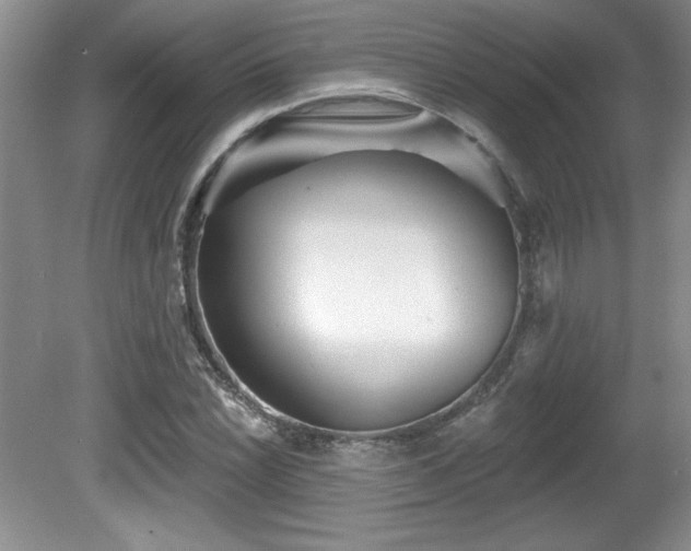 X0000081621022200701151426