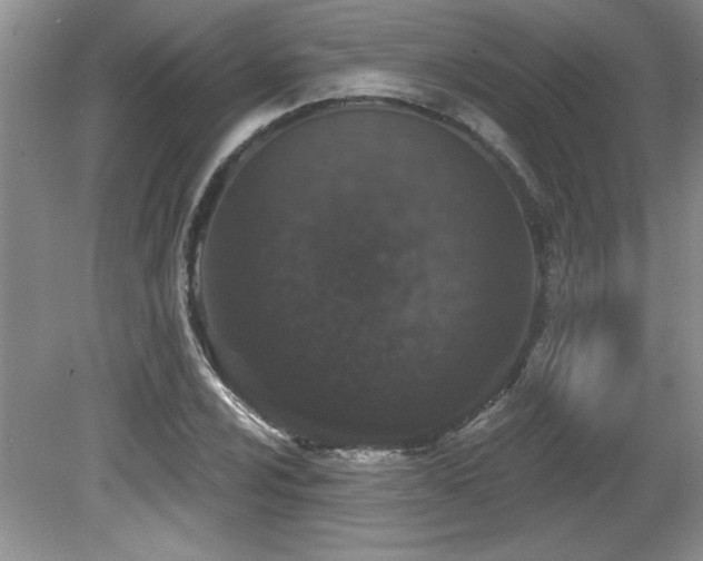 X0000081621024200701151426