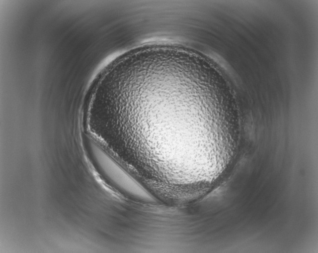 X0000081621030200701151426