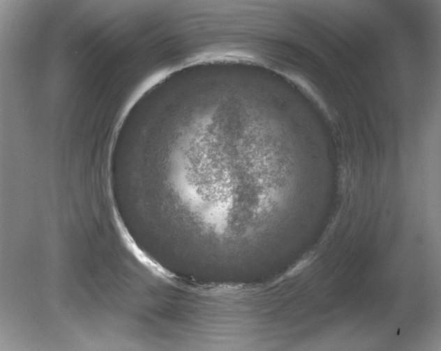 X0000081621038200701151426