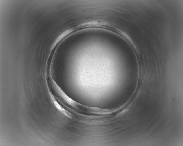 X0000081621042200701151426