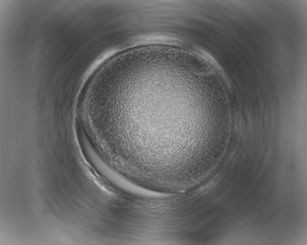 X0000081621043200701151426