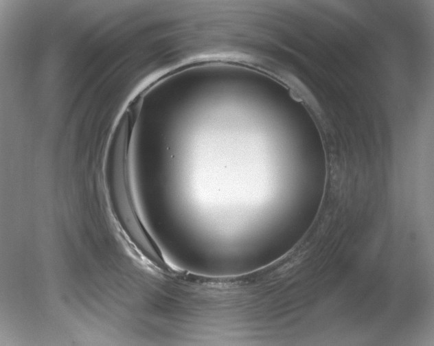 X0000081621044200701151426