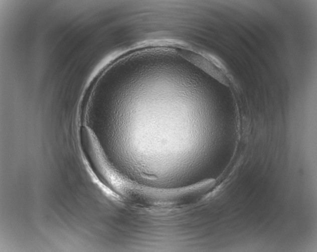 X0000081621046200701151426