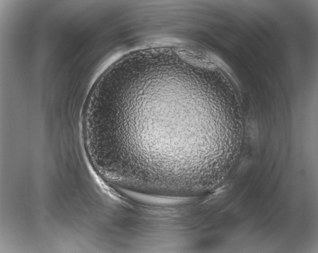 X0000081621047200701151426