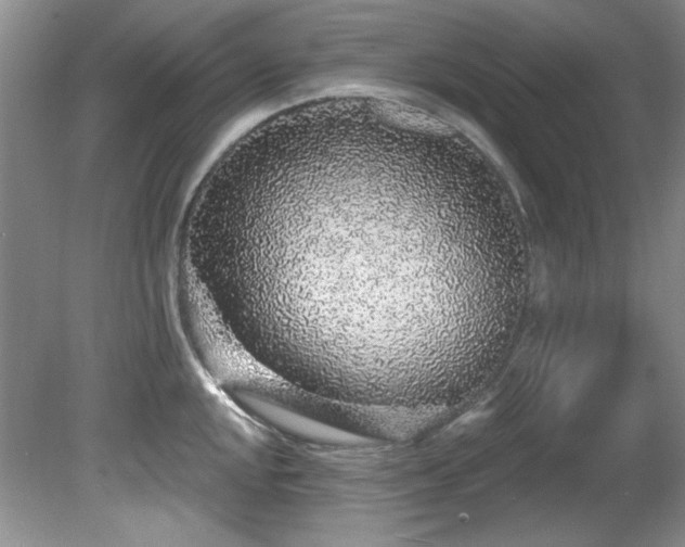 X0000081621048200701151426