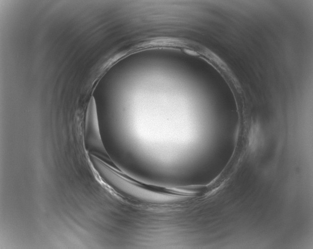 X0000081621049200701151426