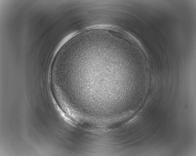 X0000081621050200701151426