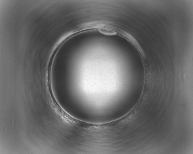 X0000081621051200701151426