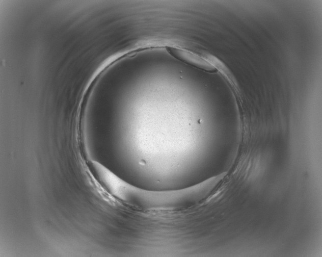 X0000081621052200701151426