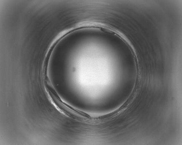 X0000081621053200701151426