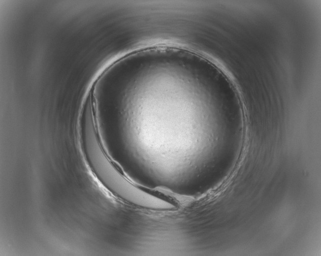 X0000081621056200701151426