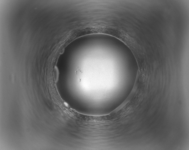 X0000081621057200701151426