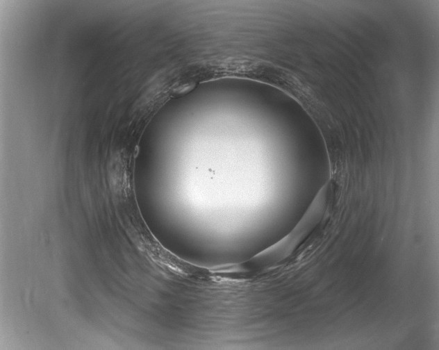 X0000081621058200701151426