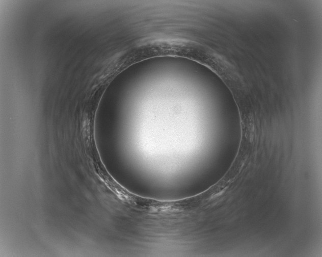 X0000081621061200701151425