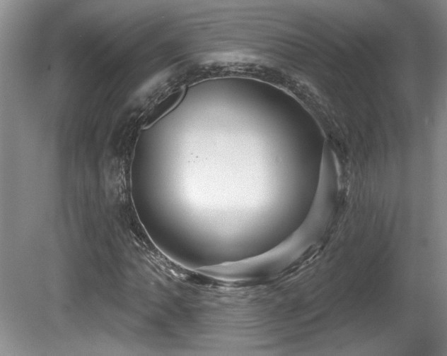 X0000081621062200701151425