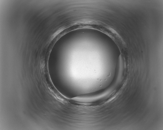 X0000081621065200701151425